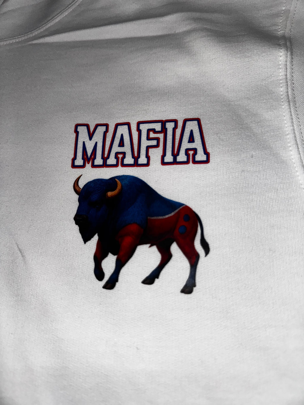 OG Buffalo Skeleton Pullover Hoodie